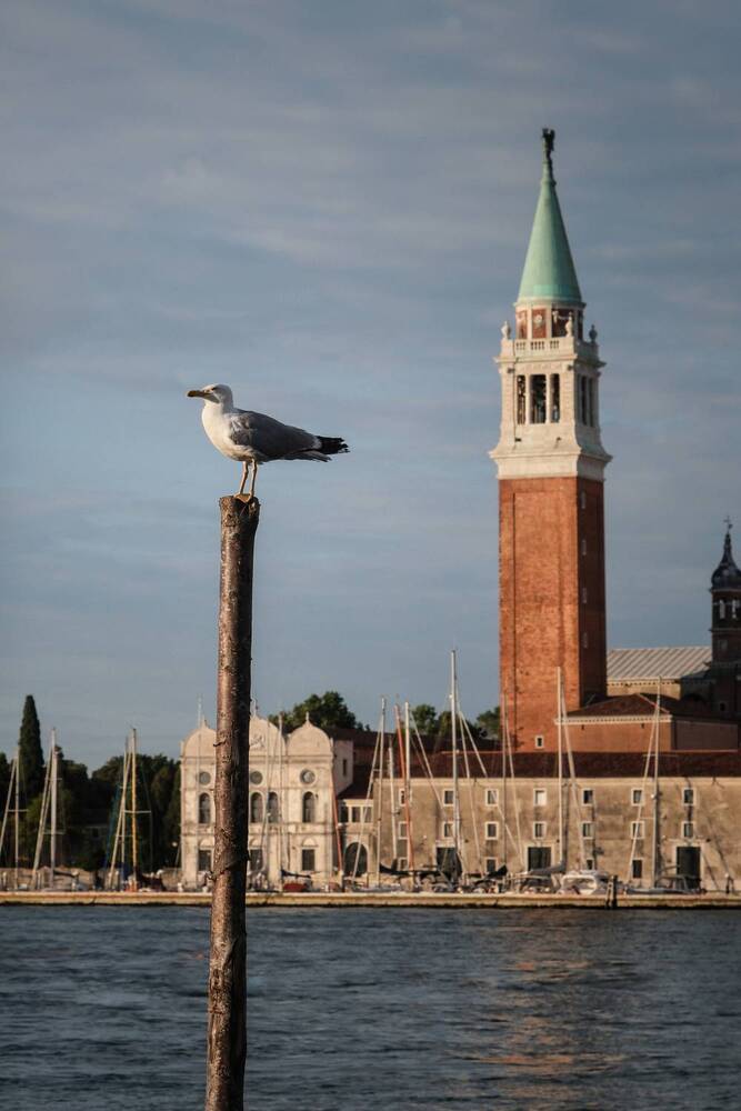 Photograph by Leonid Radashkovsky