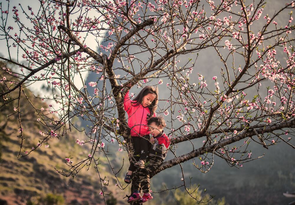 Photograph by Tran Linh
