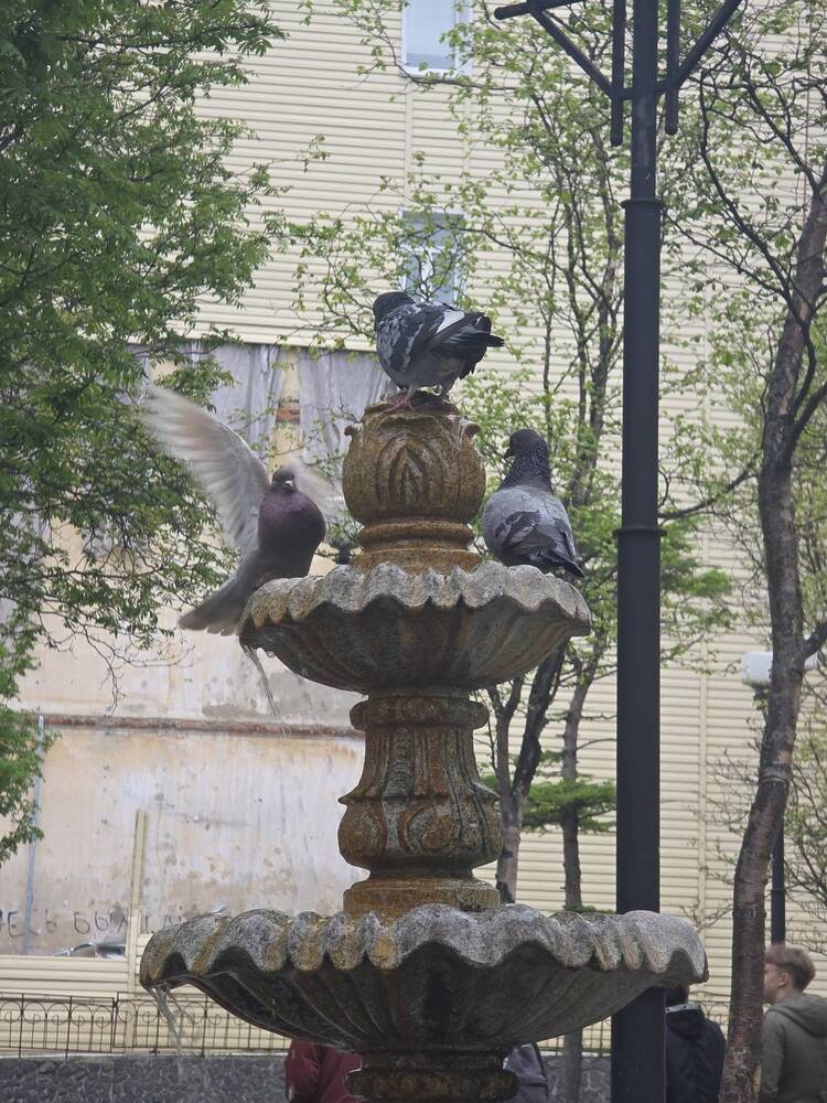 Photograph by Татьяна Шмидт