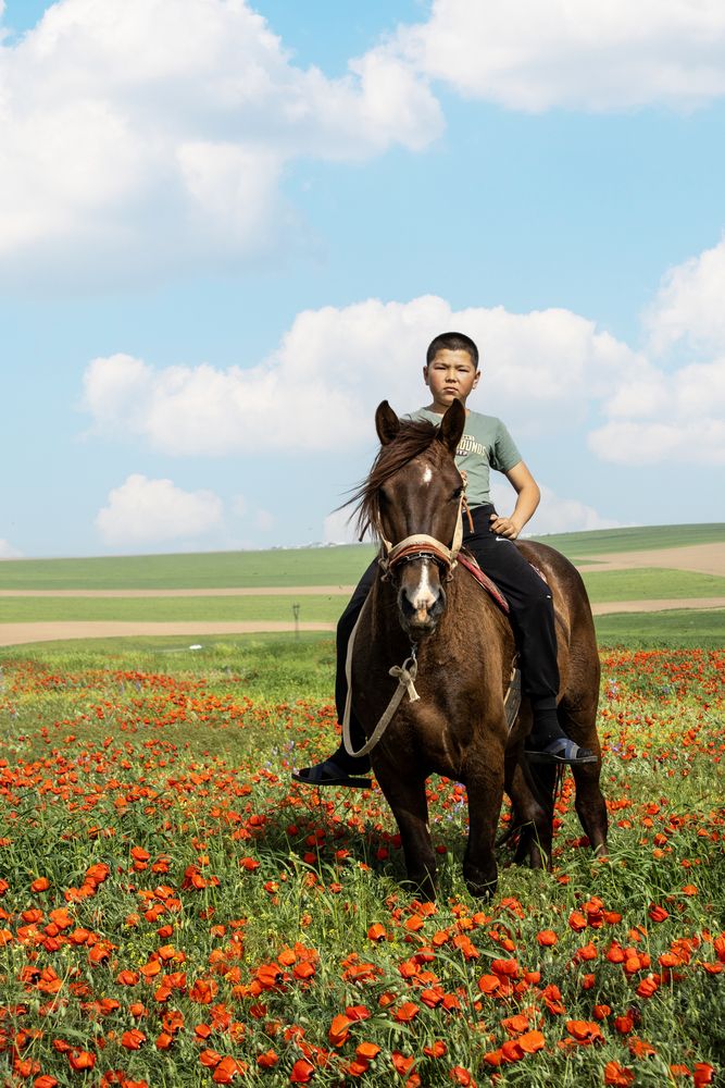 Photograph by ольга стаценко