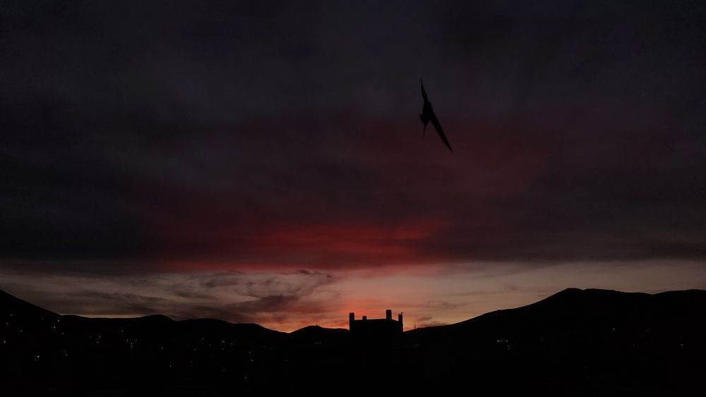 Photograph by Parsa Mohammadinejad