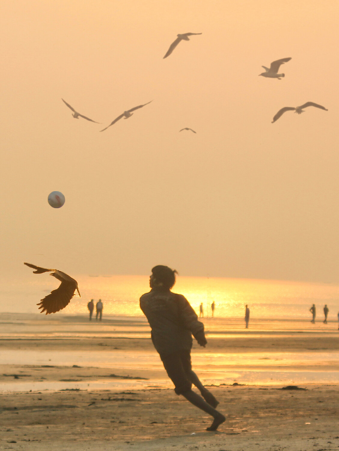 Photo #13723003