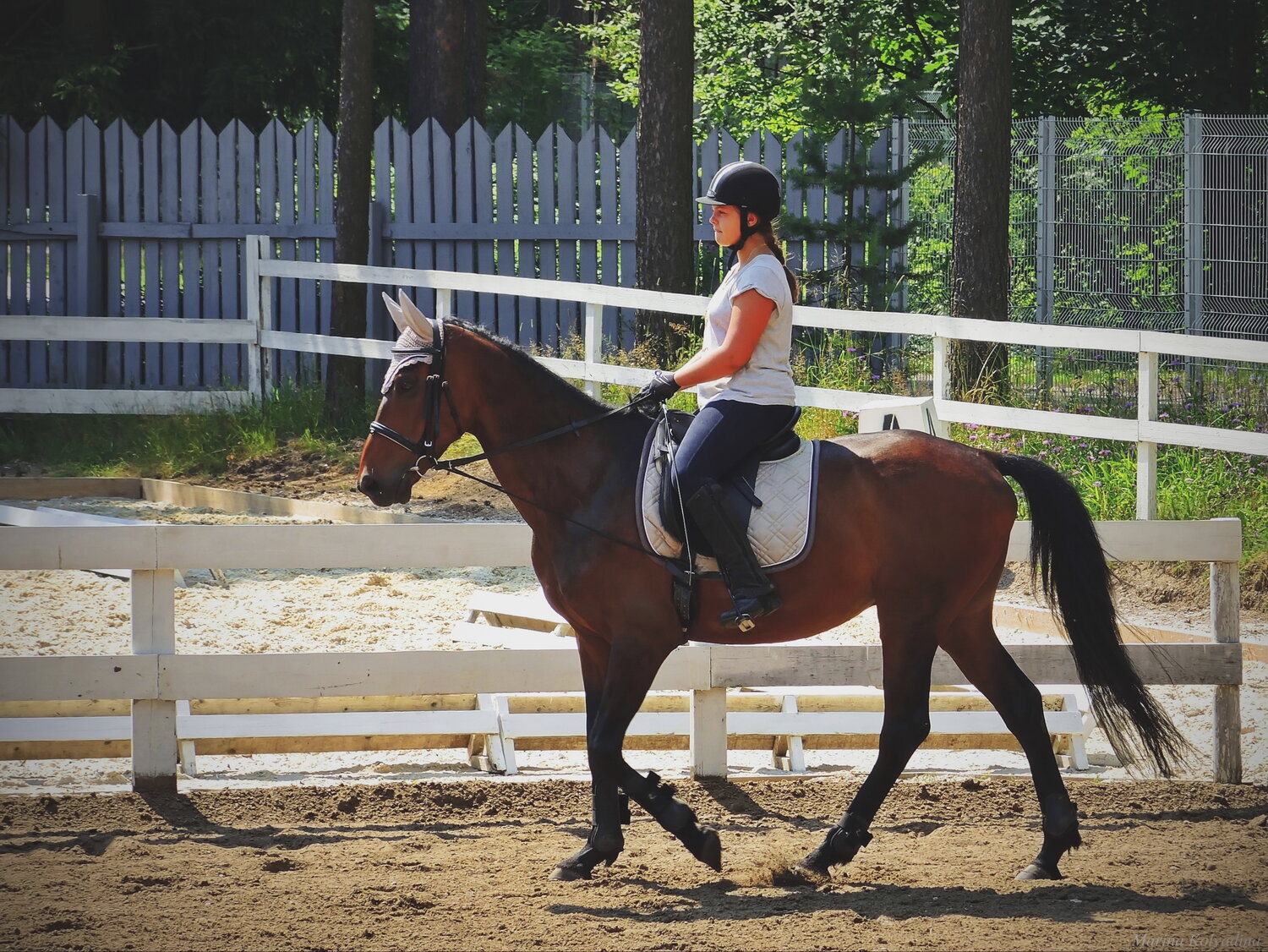 Photo #13723089