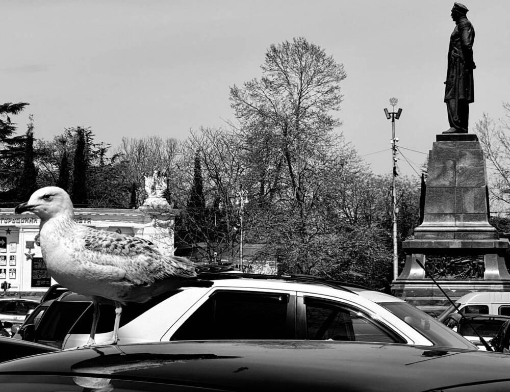 Photograph by Ефим Осов
