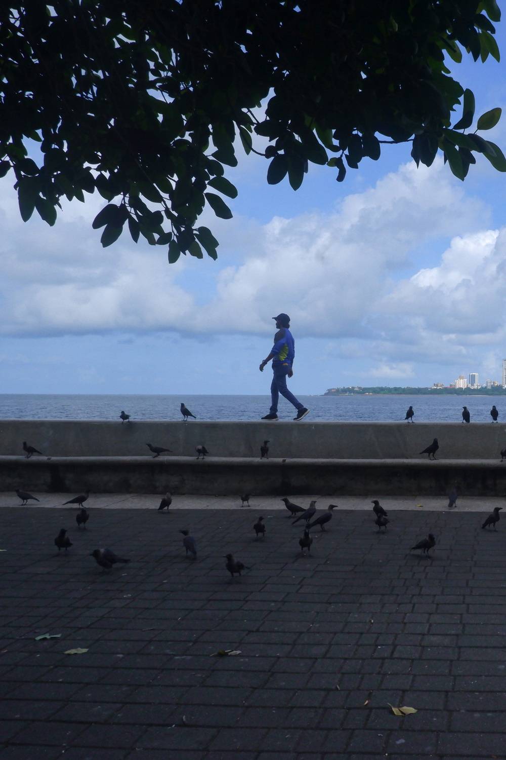 Photo #13723155