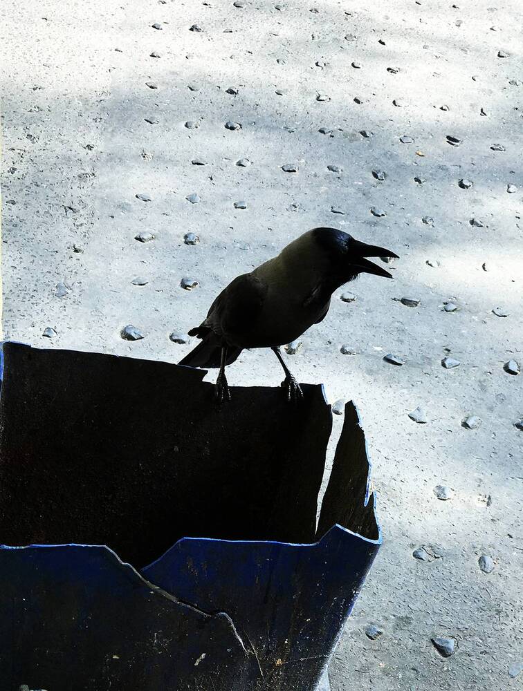 Photograph by Kaushik Dolui