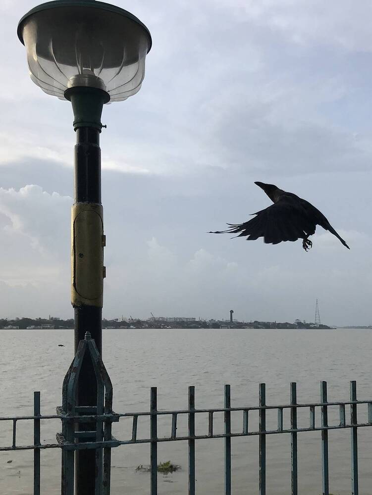 Photograph by Kaushik Dolui
