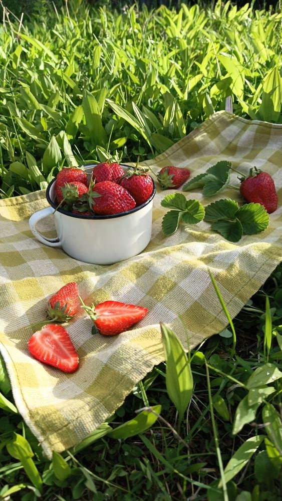 Вкус северного лета.