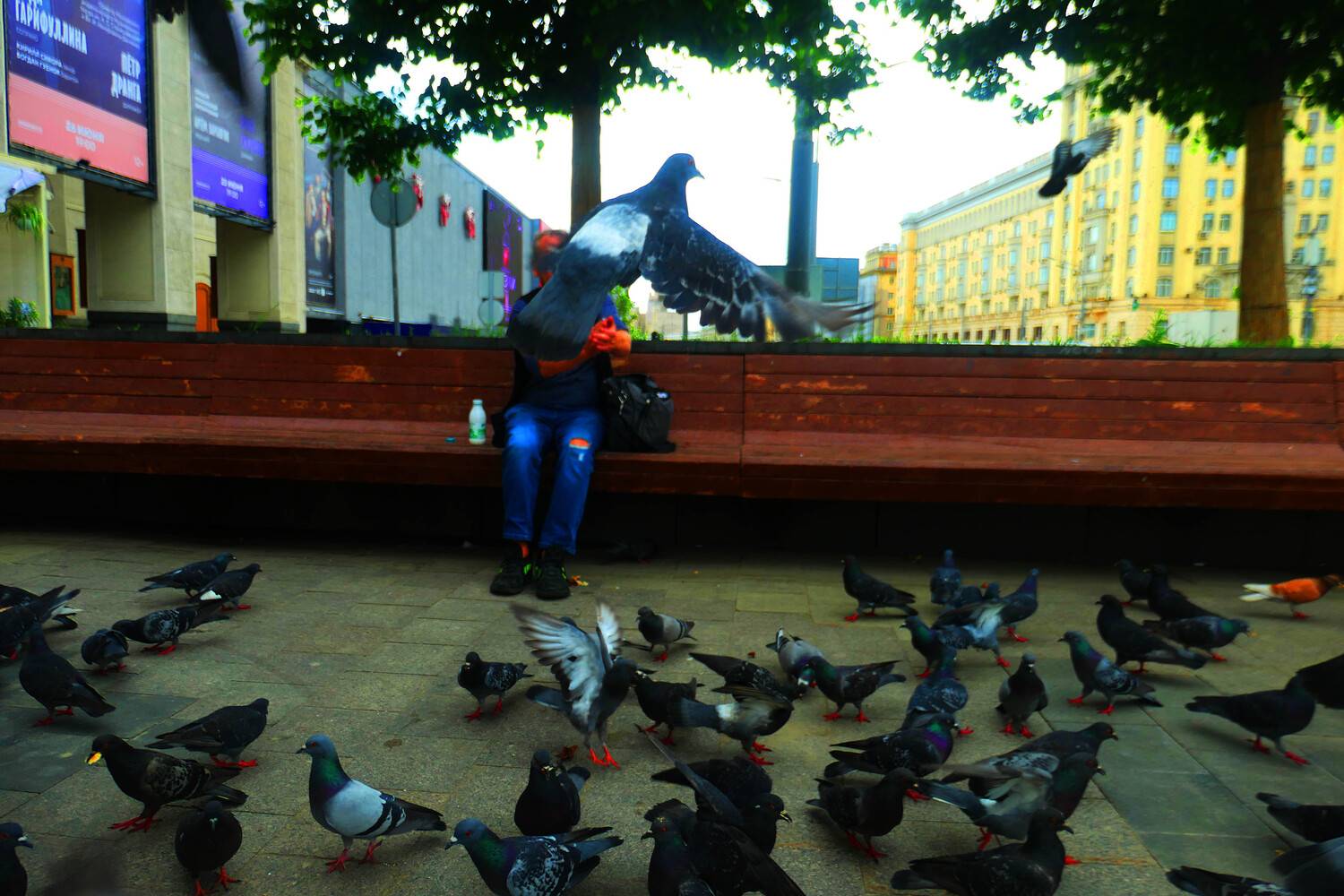Photo #13723215