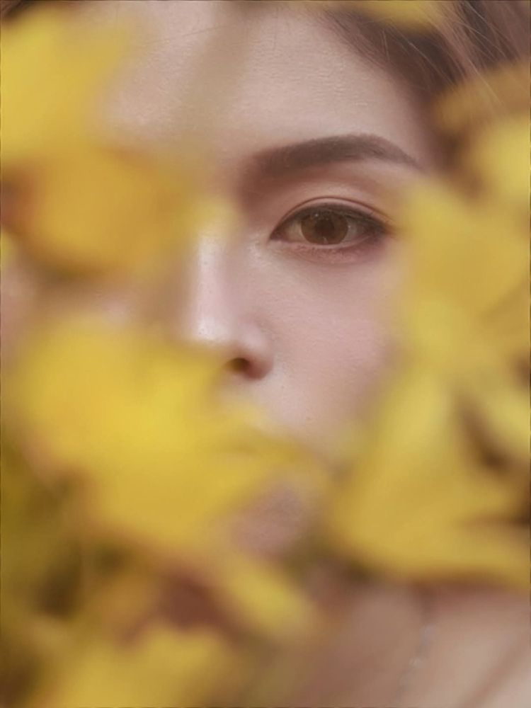 Shrouded in Bloom