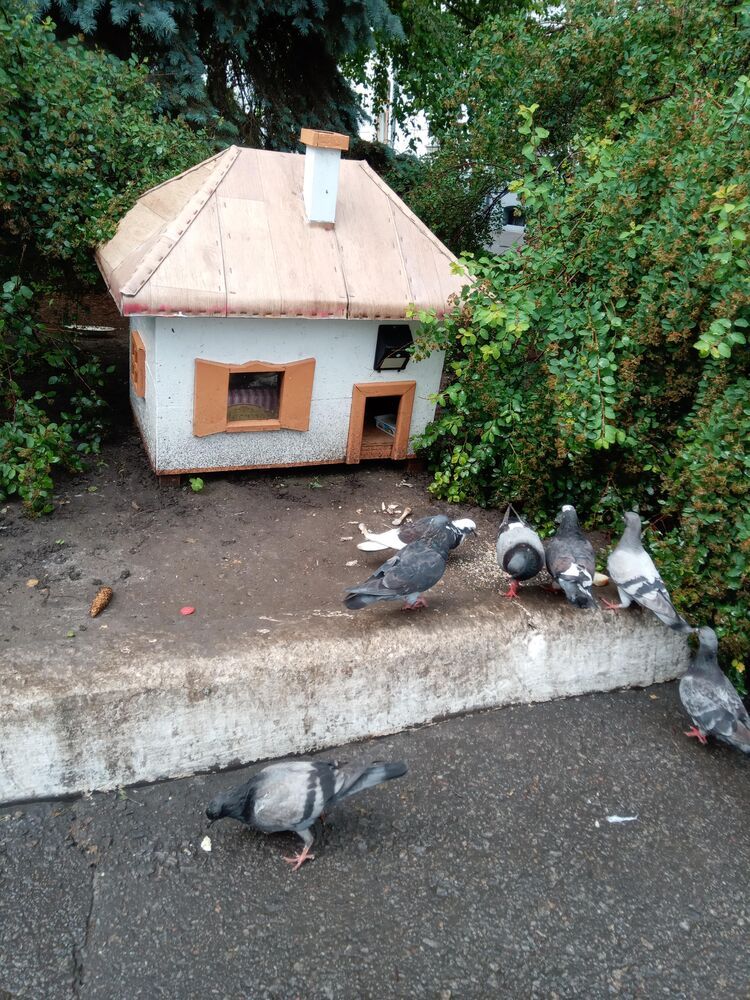 Photo #13723322