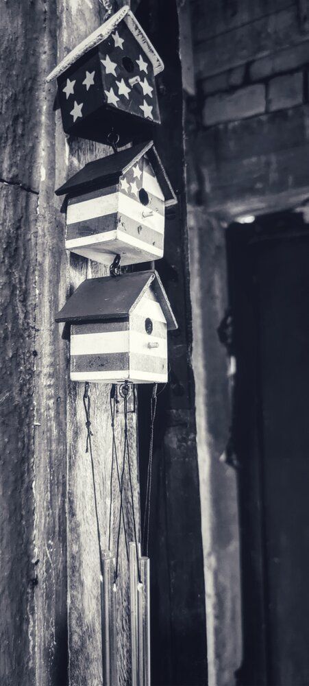 Echoes of Suspended Time, Whispers of Americana