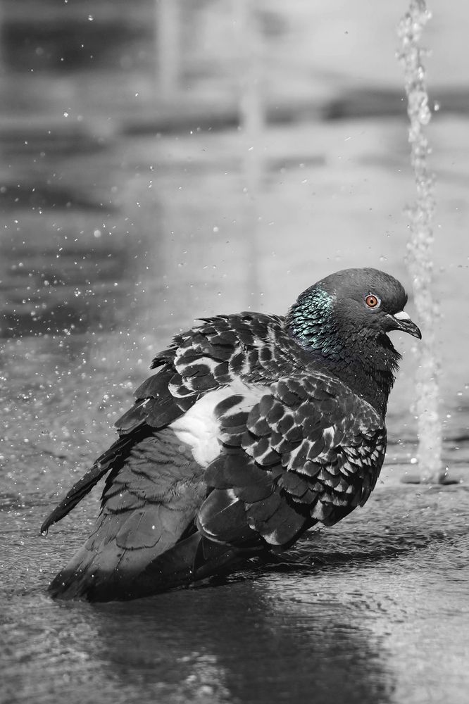 Photograph by Шевелева Юлия