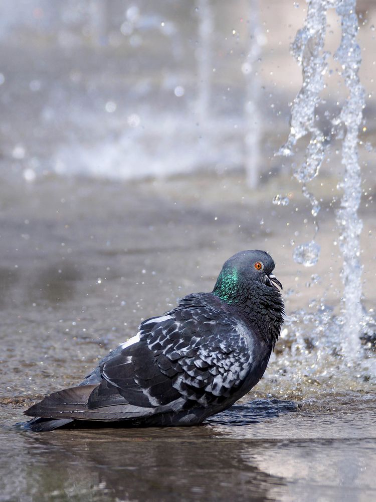 Photograph by Шевелева Юлия