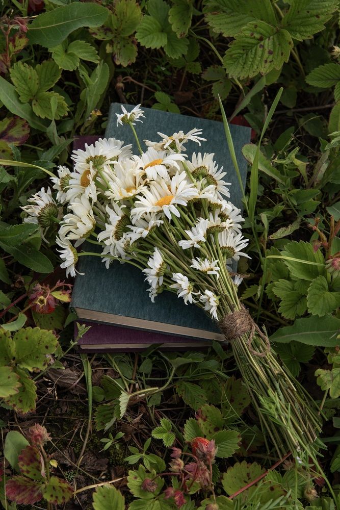 Photograph by Татьяна Зуйкова