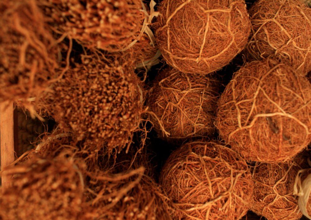 Textures of the Earth: The Authenticity of Raw Vetiver