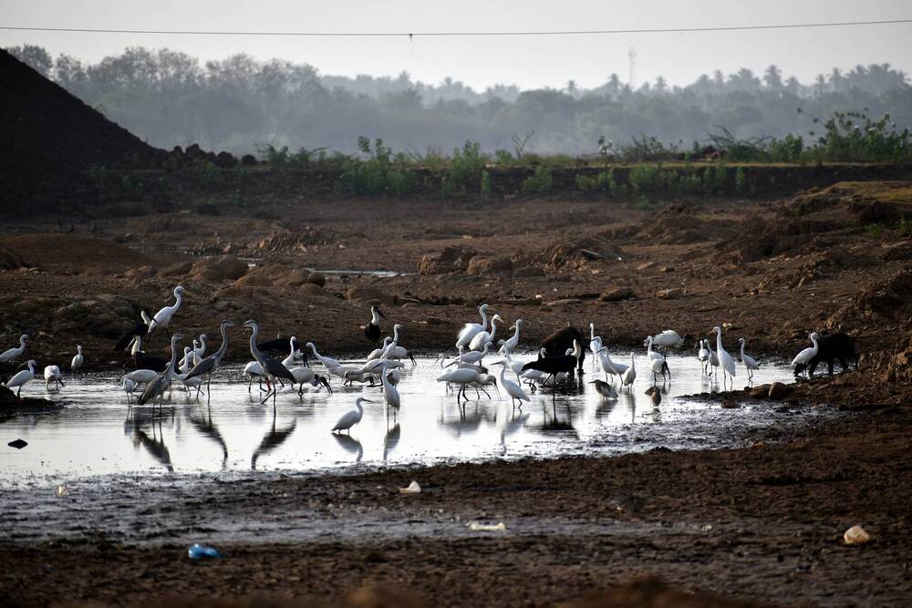 Photograph by Malatesh Garadimani