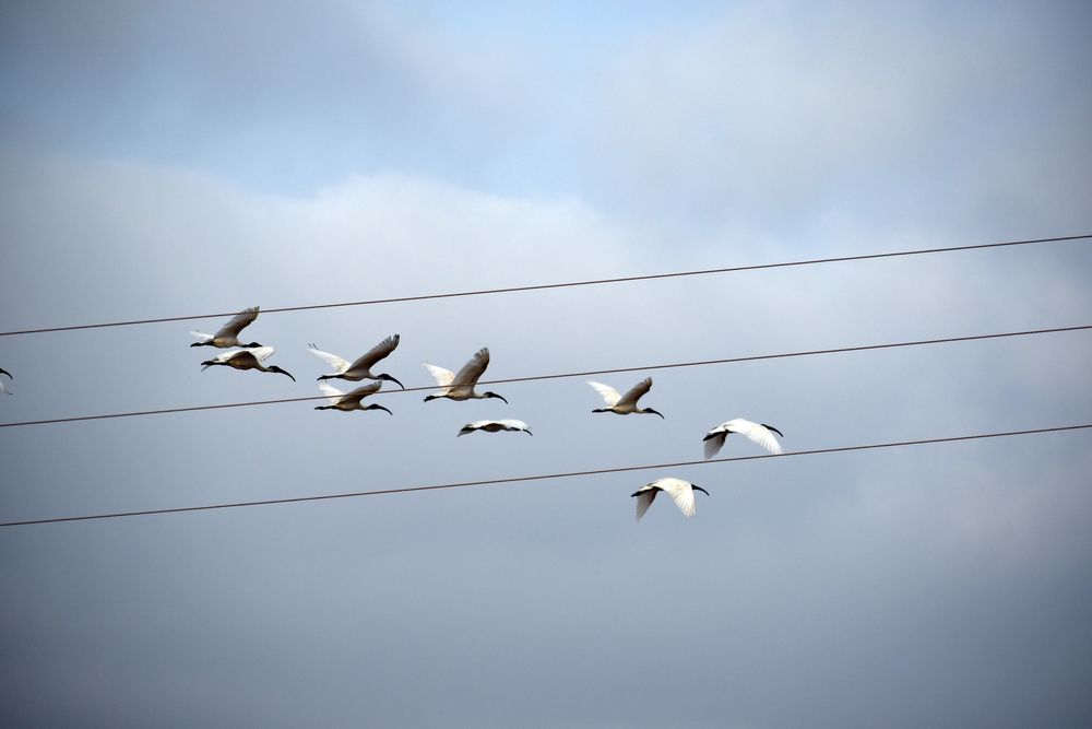 Photograph by Malatesh Garadimani