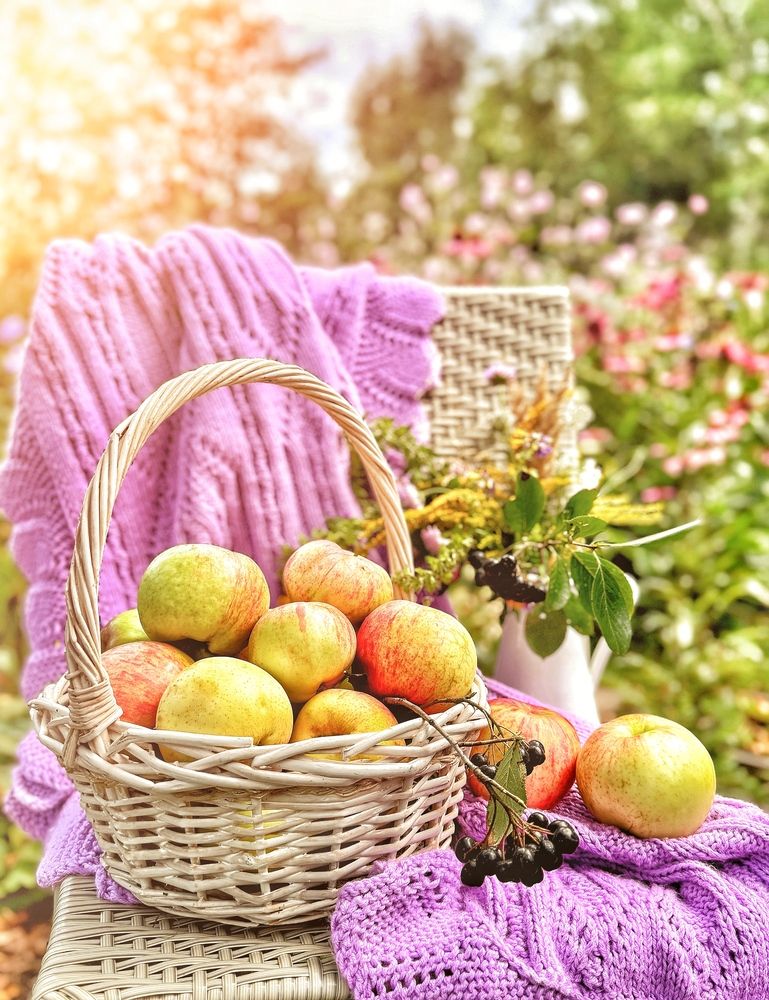 Photograph by Юлия Порфирьева