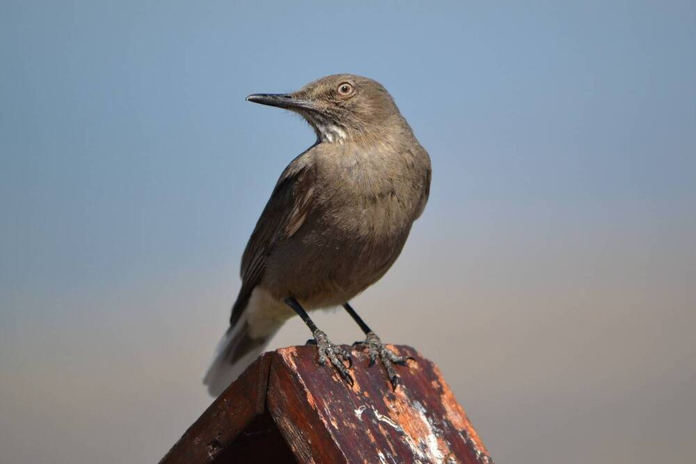 Photograph by Jorge Martinez