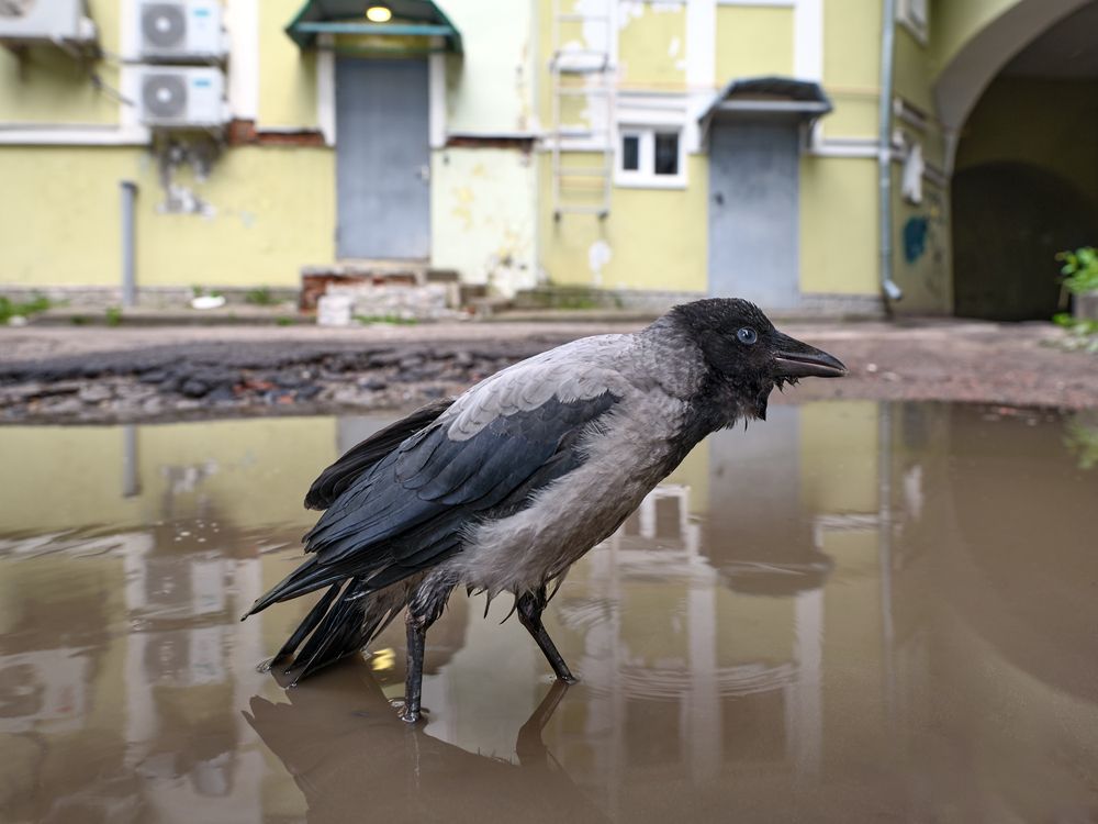 Photograph by Геннадий Суслов