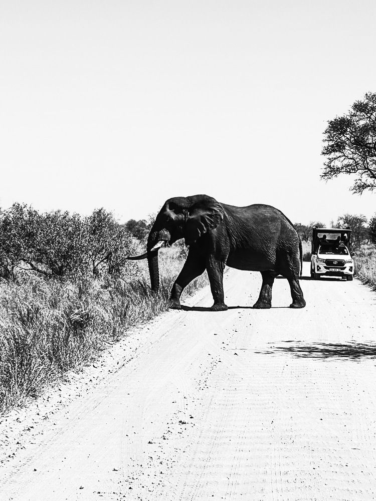 The Crossing