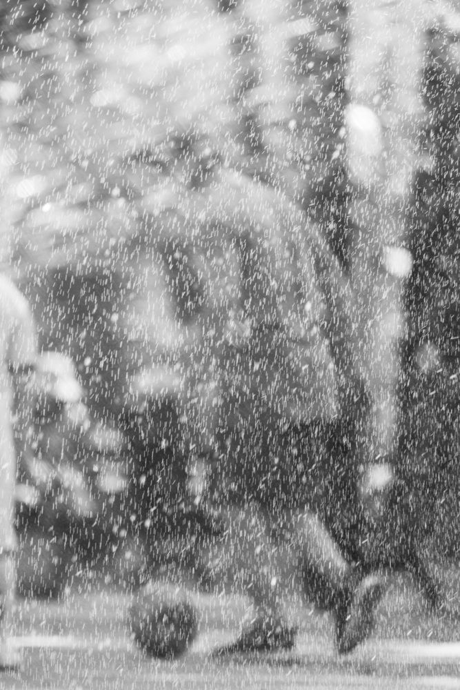 Passion in the Rain