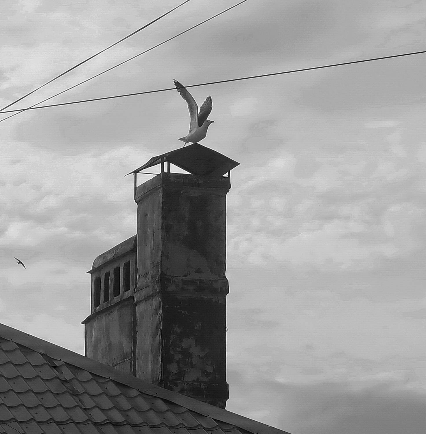 Photo #13724002