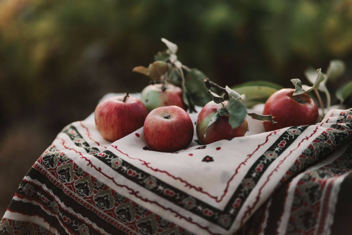 Photo #13724003