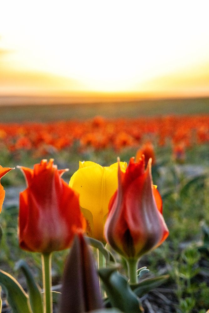 Photograph by ольга стаценко
