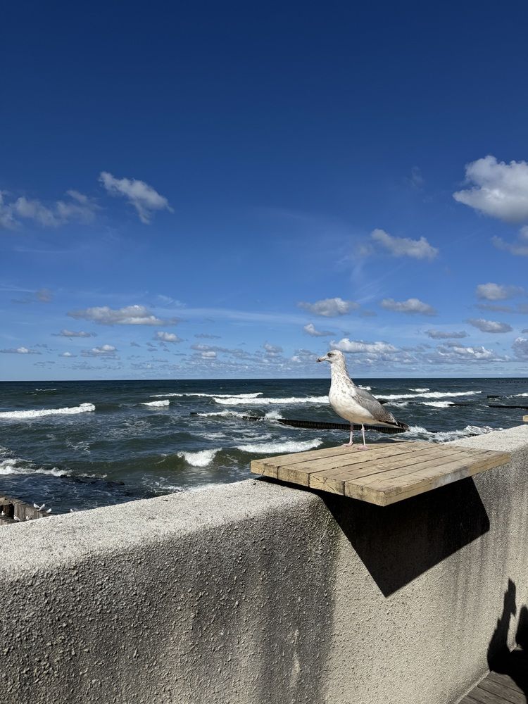 Photograph by Александра Кузнецова