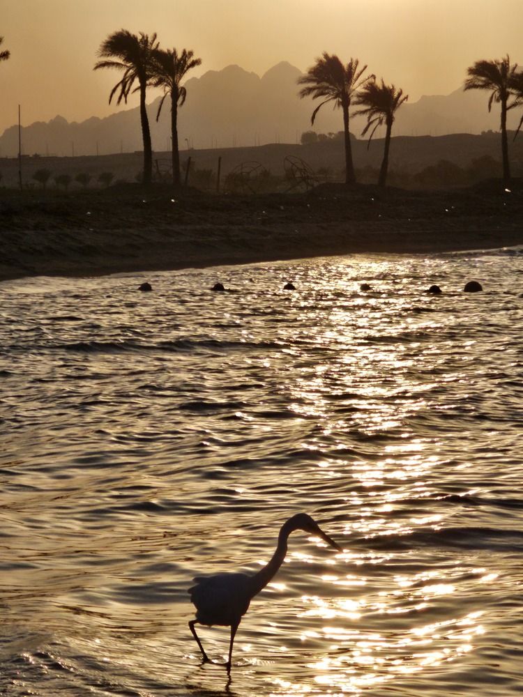 Photograph by Edmund Randal