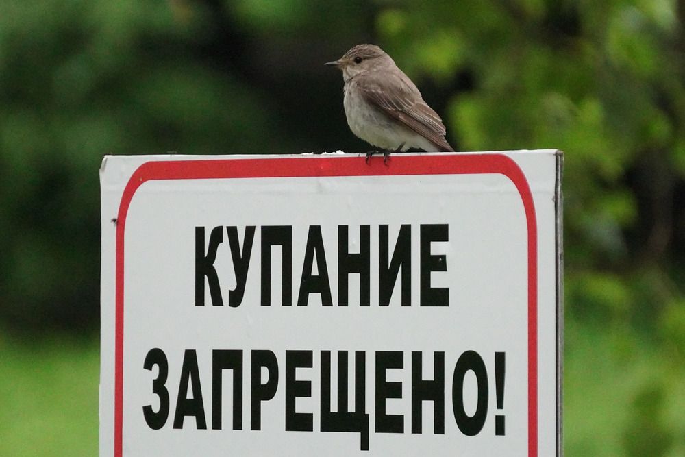 Photograph by Софья