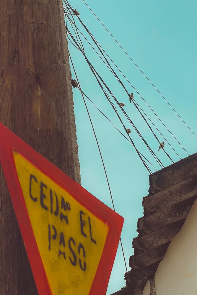 Photograph by Javier Hidalgo