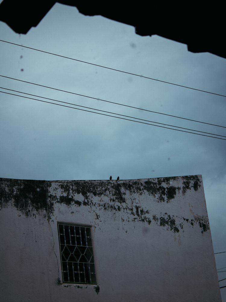 Photograph by Javier Hidalgo