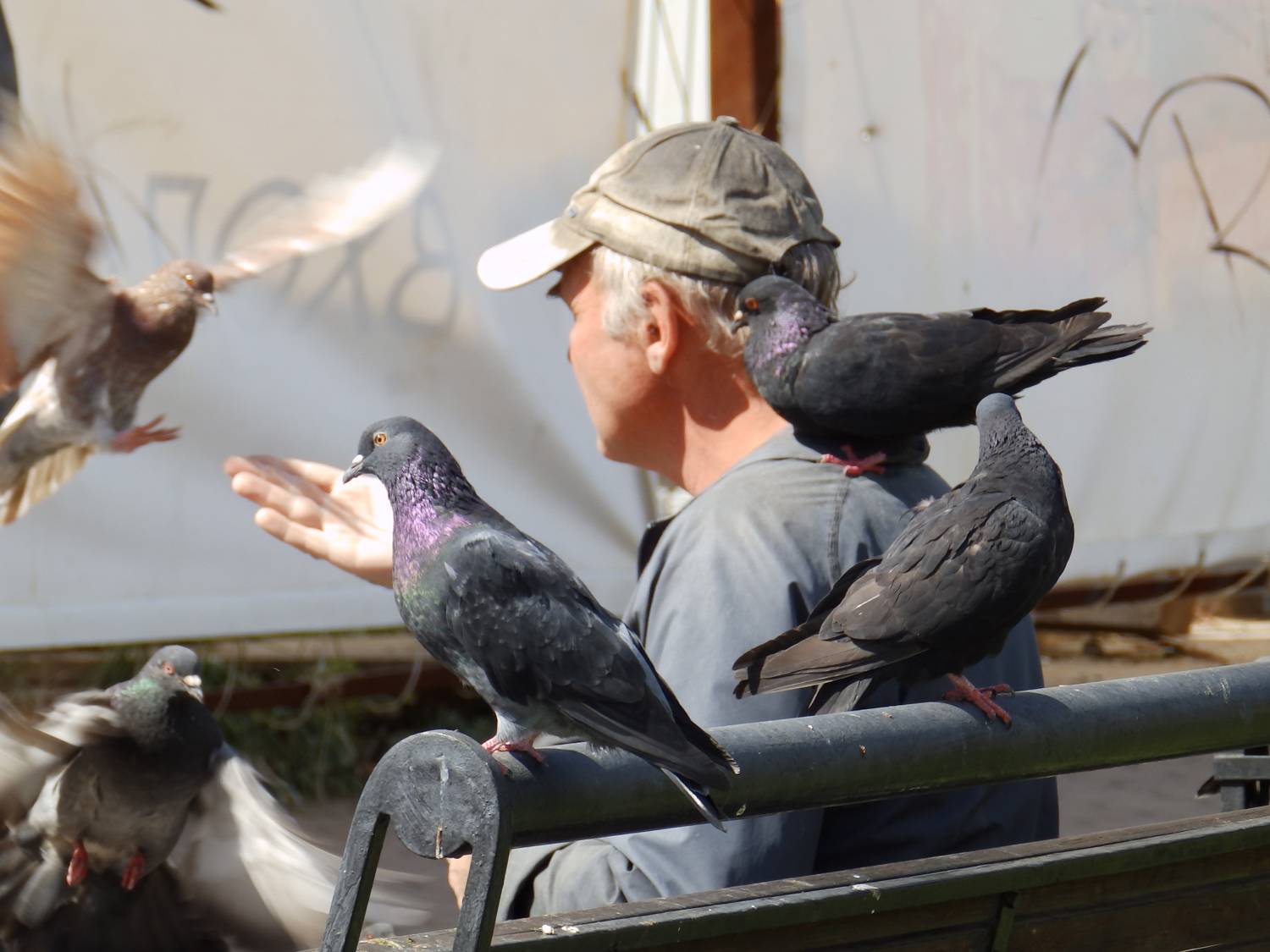 Photo #13724471