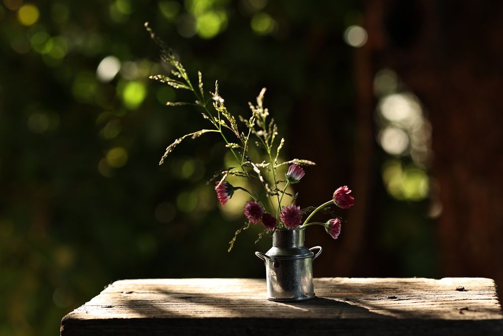 Photograph by Елена Одынец