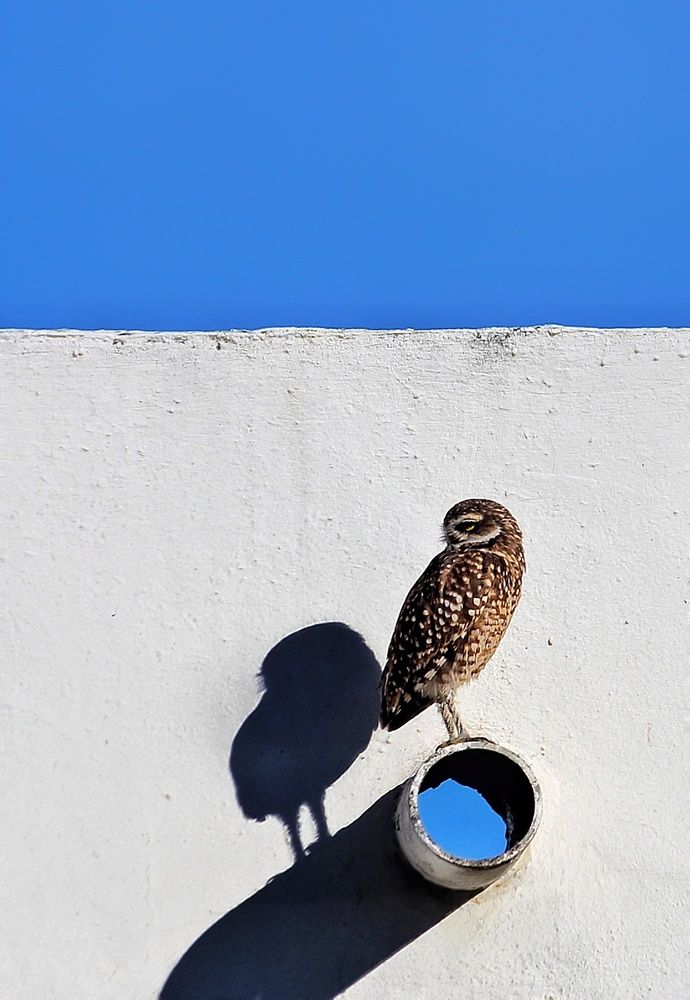 Photograph by Roberto Hagemann