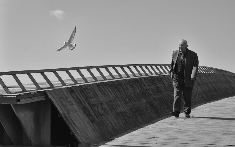 Photograph by SÜLEYMAN ÜLKER