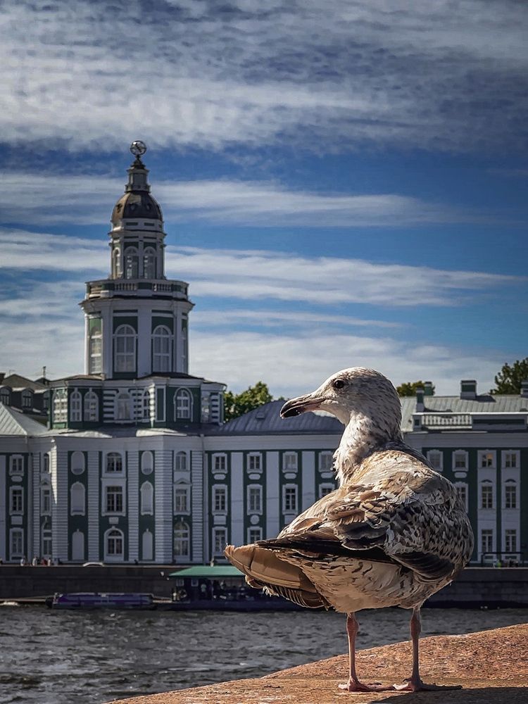 Photograph by Анна Титова