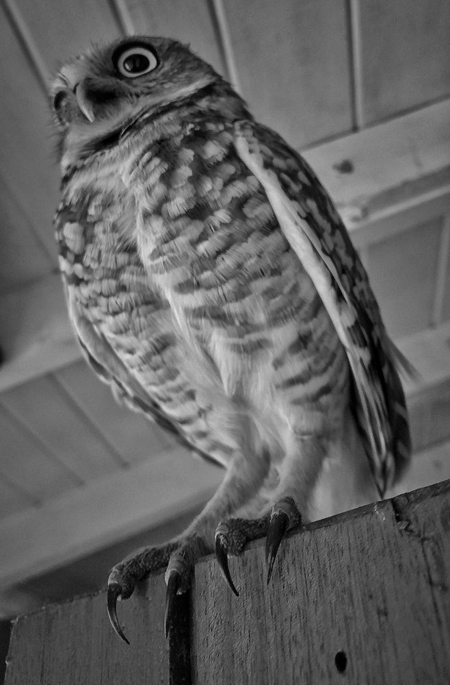Photo #13724732