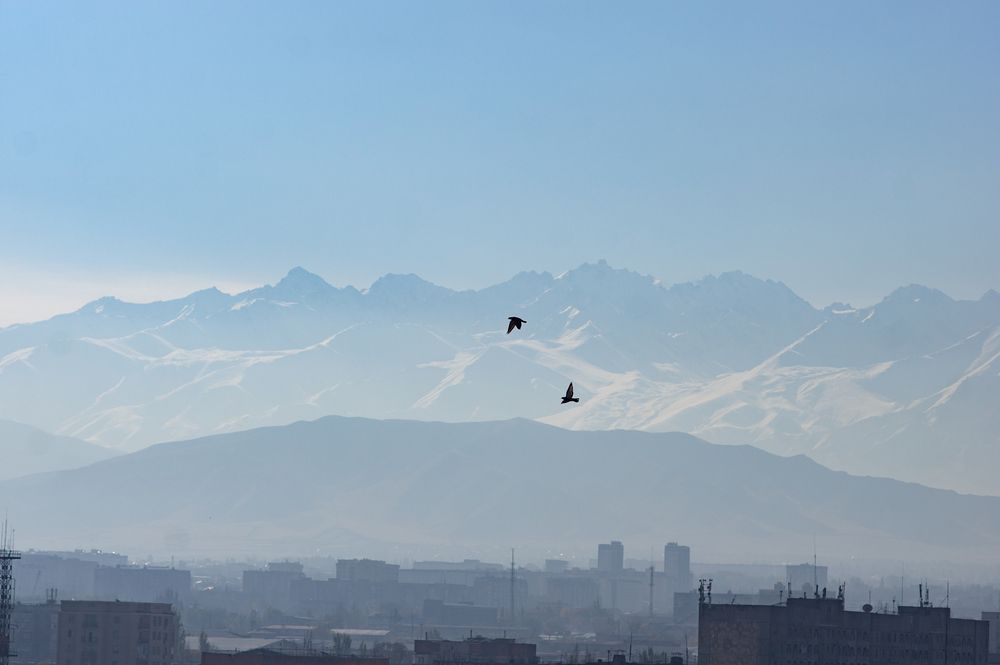 Photograph by Захаров Максим