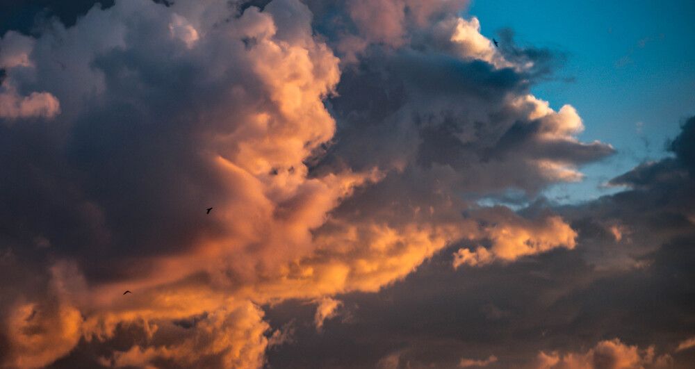 Photograph by Nadezhda Sergeevna