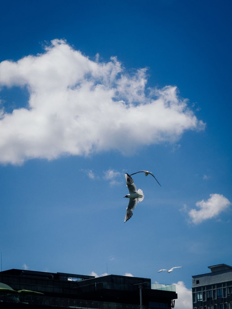 Photograph by Elizabeth Barkovskaya