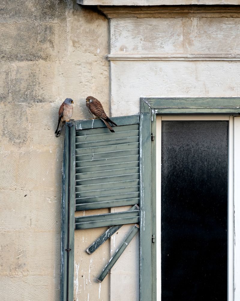 Photograph by Andrea Poggi