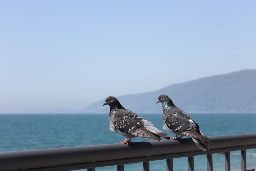 Photograph by Наталья Саквояжи