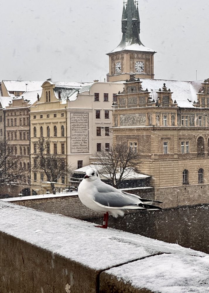 Photograph by Юлия Кудря