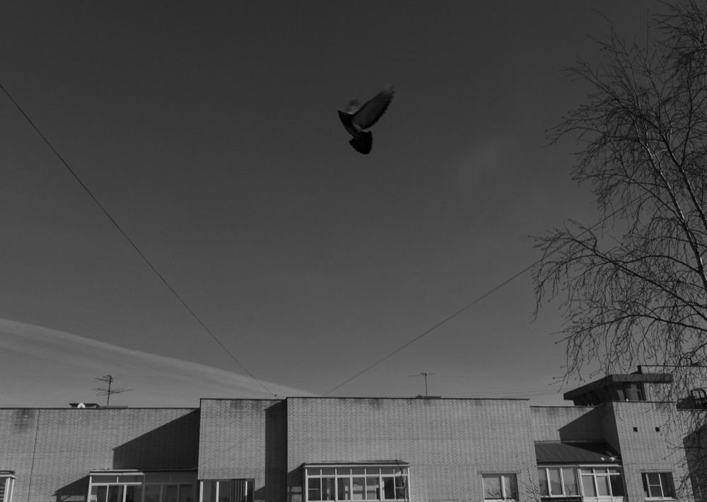 Photo #13725272