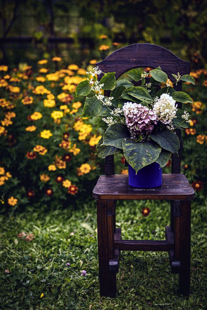 Photograph by Оksana Seregina