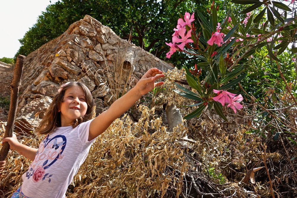 Photograph by Carmen Meló Mansanet